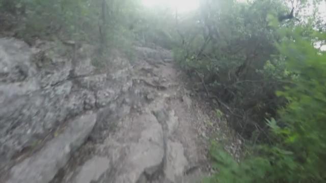 eisenhower park bike trail